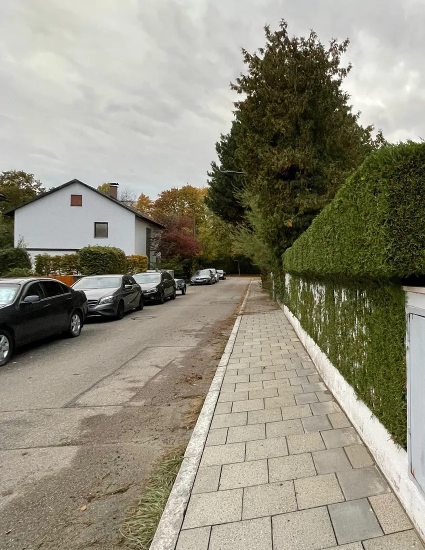 Nachher: Hecke mit gepflegter Kontur