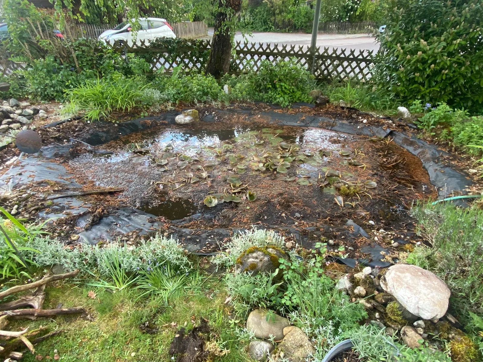 Gartenteich vor den Rückbauarbeiten